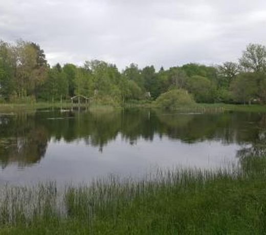 Solvagnen