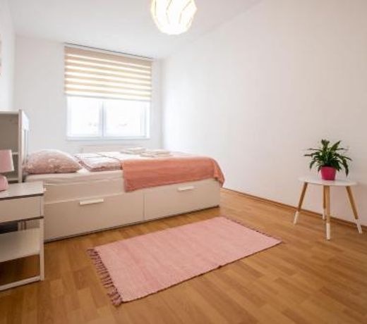 Spacious Apartment in the Old Town of Bratislava