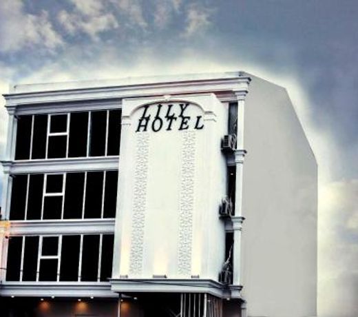 lily airport otel