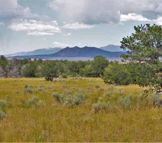 Oso Blanco, 2 Bedrooms, Sleeps 4, Near Golf Course, Gas Fireplace, WiFi