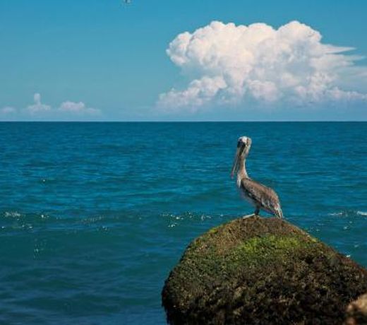 Island Serenity