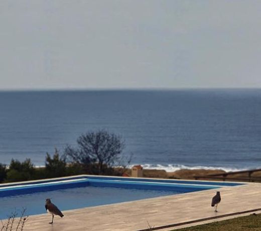 Syrah Vistas Punta Ballena