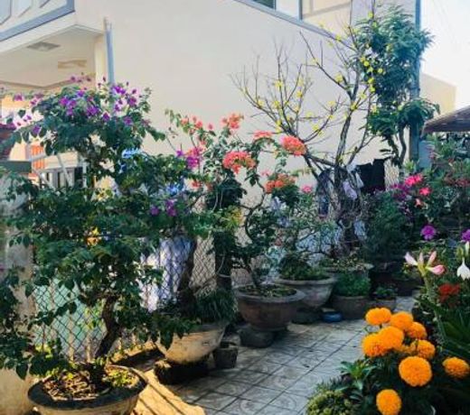 HOMESTAY LOAN ANH