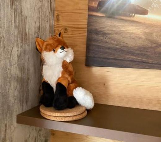 Apartment Fuchsbau