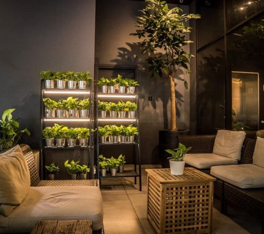 Z HOTEL