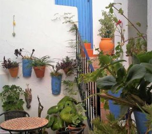 La Lectora