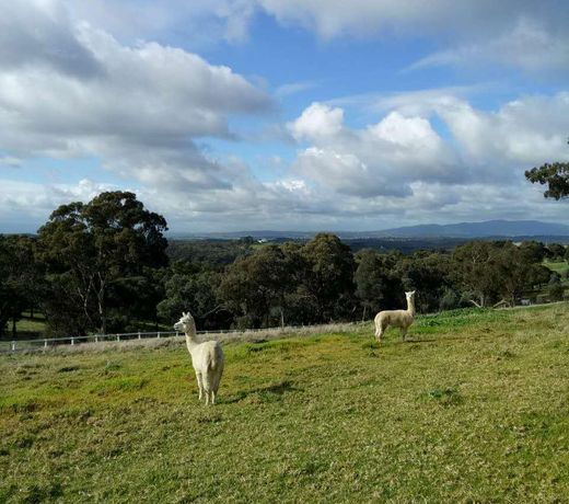 yarra view estata