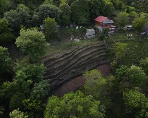 Tsanavas cottage in Sighnaghi - Сигнахи - фото 19