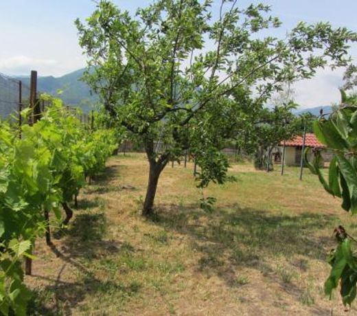 Pomegranate Tree House - Meteora