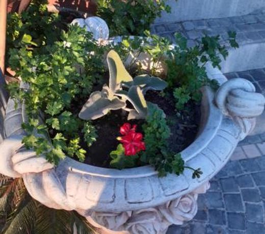 Appartamento HOUSE IDA