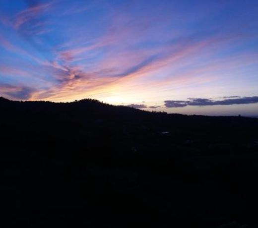 La Collina degli Ulivi