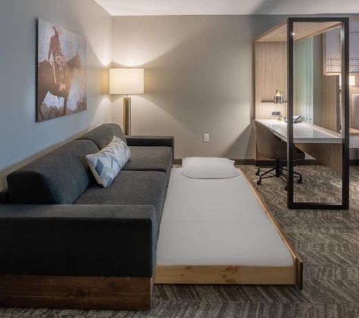 SpringHill Suites by Marriott Fort Worth Historic Stockyards