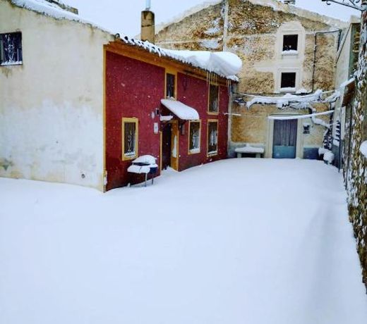 CASA RURAL REVOLCADORES