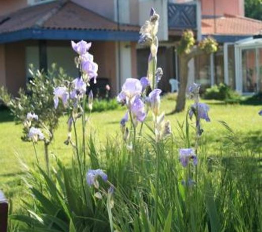 villa helianthe