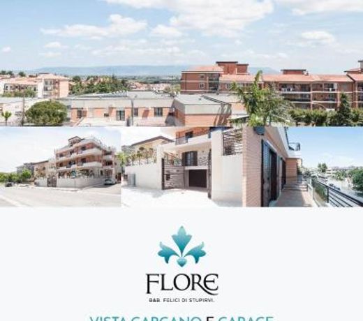 B&B FLORE