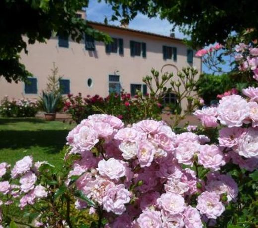 Bilocale Agriturismo