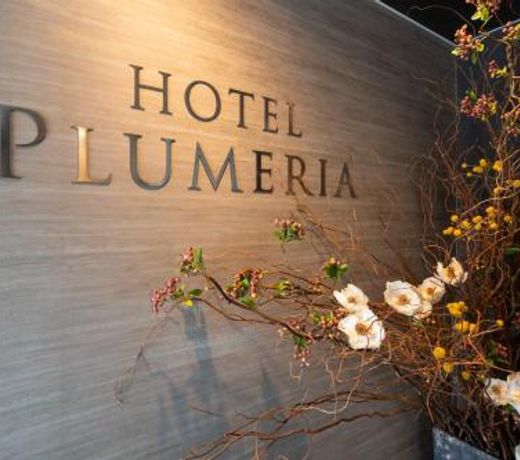 Hotel Plumeria Oume