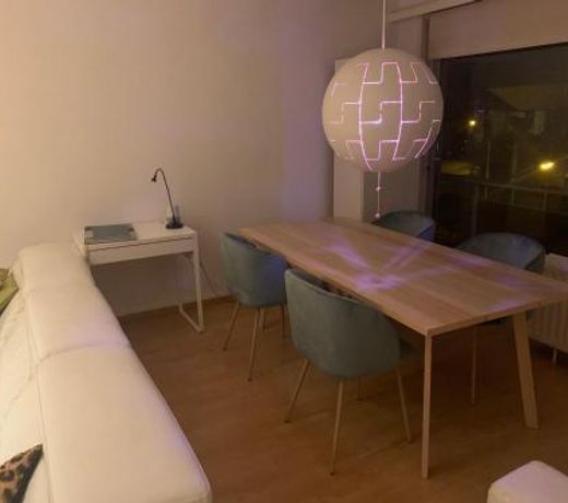 nice and cosy apartment