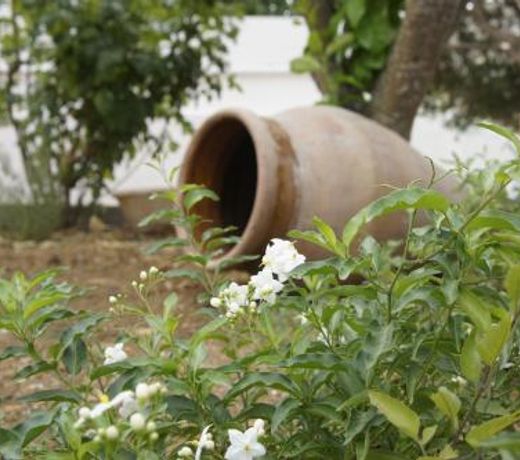 My Sicily Home-Casa con giardino