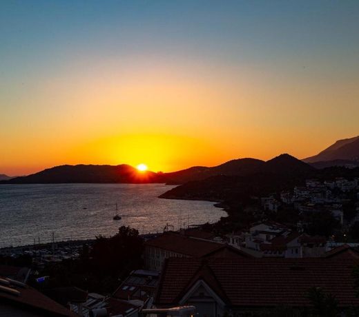 Cedrus Suites