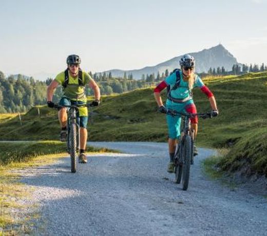 Chalet Tirol