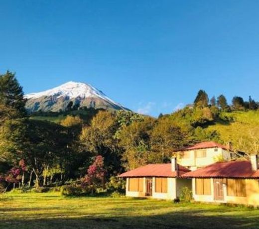 Hotel Orquídeas Runtun