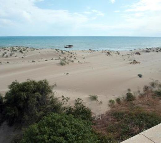Sul mare e sotto le stelle di Roccazzelle-Manfria