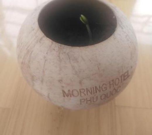 Morning Hotel Phu Quoc