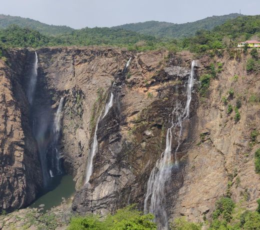 Paradise Wild Hills