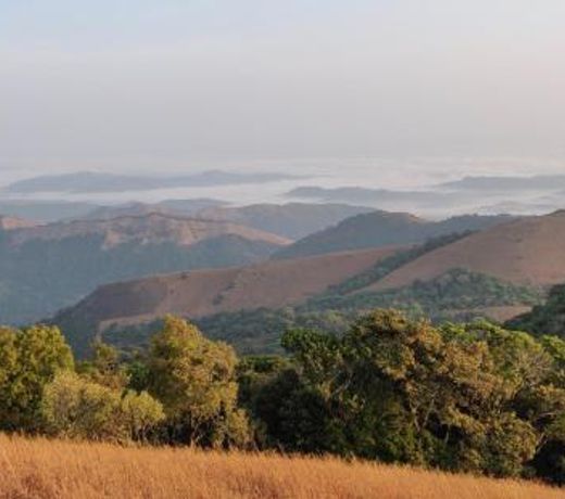 Paradise Wild Hills