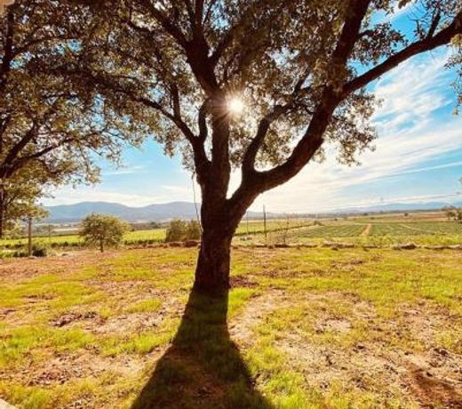 When in Maremma