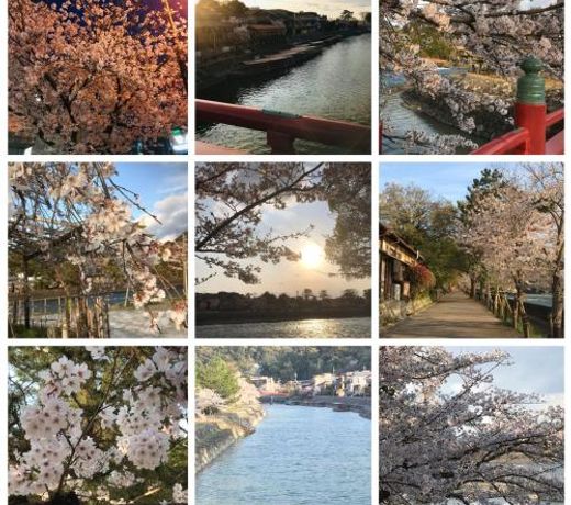äº¬é½ã®ãè¶è¡ Kamon Inn å®æ²»