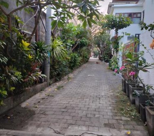 Pineapple Villa Sanur