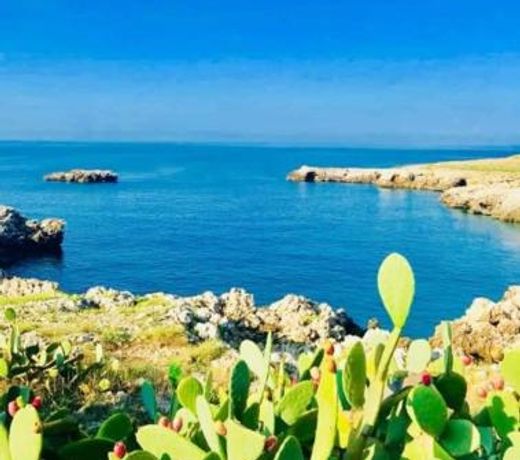 Il giardino dei tramonti