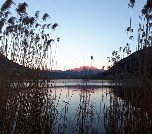 Un nido sul lago