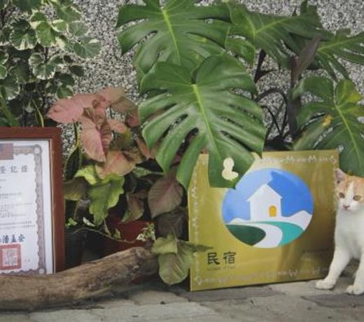 Hakka Eco-farm éæ­åæ°å®¿é£è¾²æè²ææ©è¾²å ´