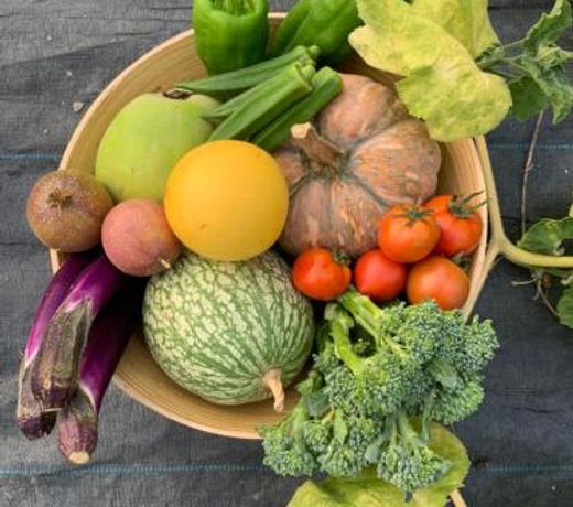 Hakka Eco-farm éæ­åæ°å®¿é£è¾²æè²ææ©è¾²å ´