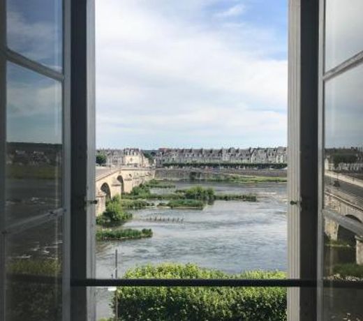 Blois, vue panoramique Loire