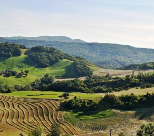 CASA STEFANIA, APPARTAMENTO IN COLLINA