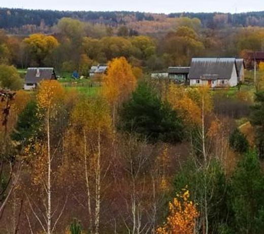 ÐÐµÐ»ÑÐ¹ ÐÑÐ¾Ð»Ð¸Ðº