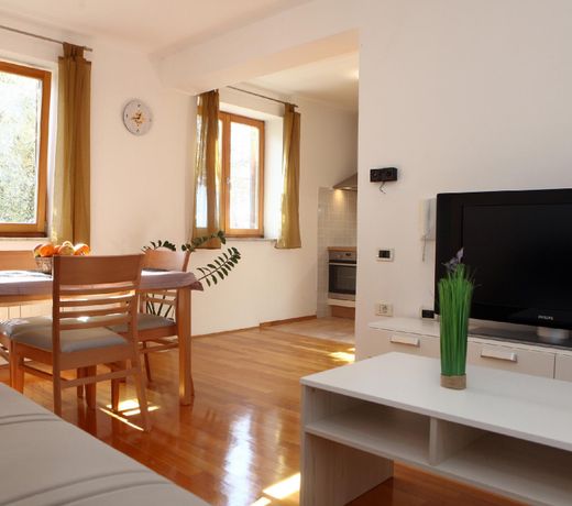 Peaceful apartment Ankaran SP