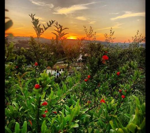 Agriturismo Casale Ugolini
