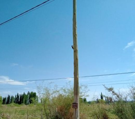 Ventana a la Cordillera