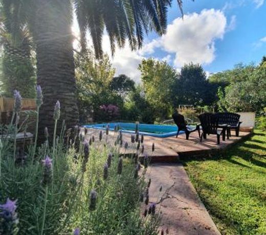 Nagual -Ecolodge- Airport Shuttle & Restaurant