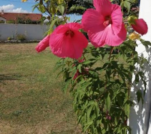 Chambres d'hÃ´tes le Clos de la Presle, Compostelle ompostelle