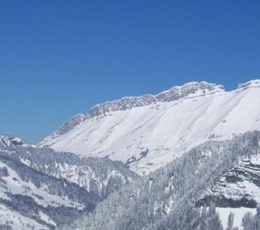 Studio Notre-Dame-de-Bellecombe, 1 piÃ¨ce, 4 personnes - FR-1-505-50