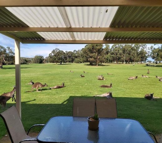 Kalgan River Chalets and Caravan Park