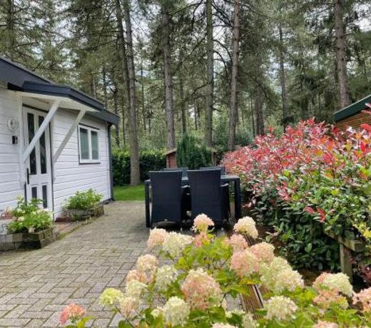 Luxe vakantiehuis in het bos