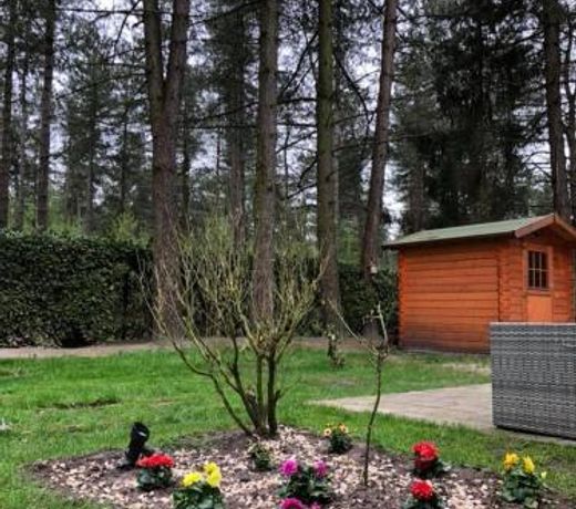 Luxe vakantiehuis in het bos
