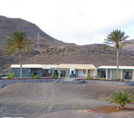 Finca Palmeras 1